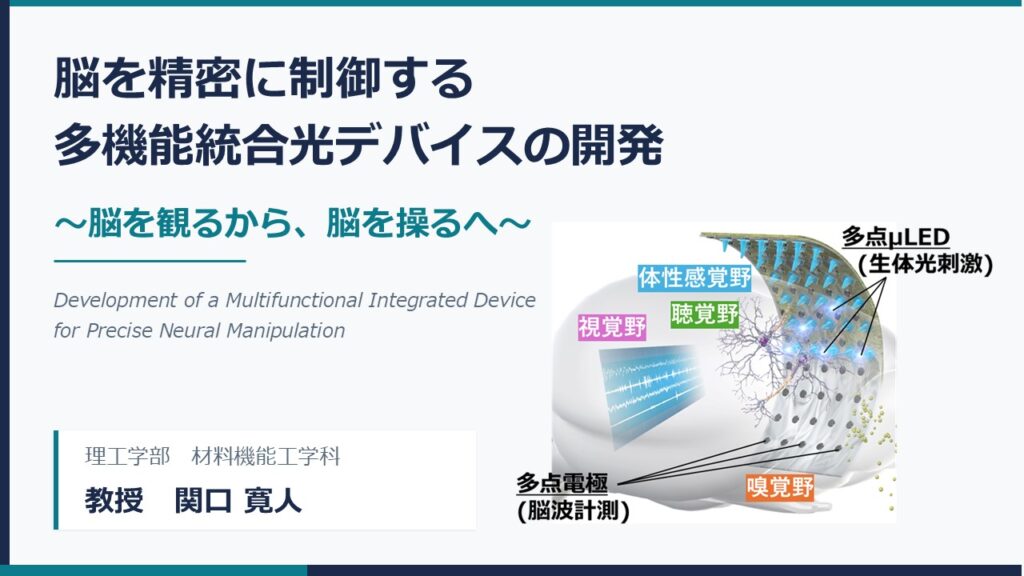脳を精密に制御する多機能統合光デバイスの開発～脳を観るから、脳を操るへ～