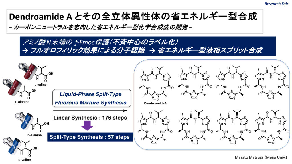 Dendroamide A とその全立体異性体の省エネルギー型合成 -カーボンニュートラルを志向した省エネルギー型化学合成法の開発-