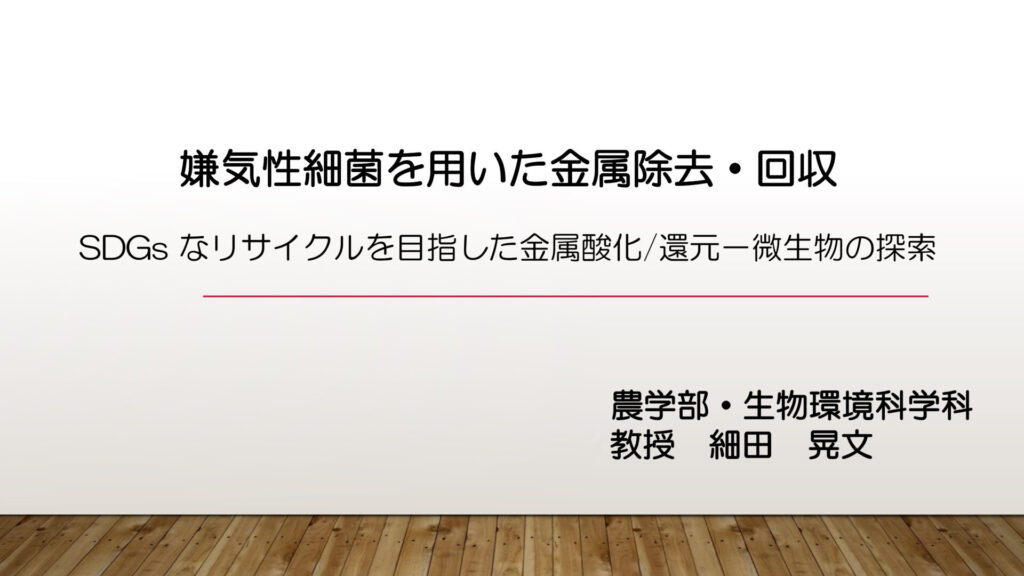嫌気性細菌を用いた金属除去・回収 SDGsなリサイクルを目指した金属酸化/還元ー微生物の探索