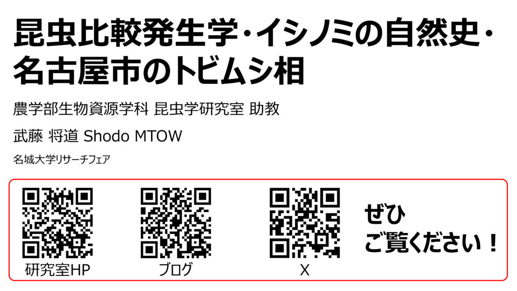 昆虫比較発生学・イシノミの自然史・名古屋市のトビムシ相