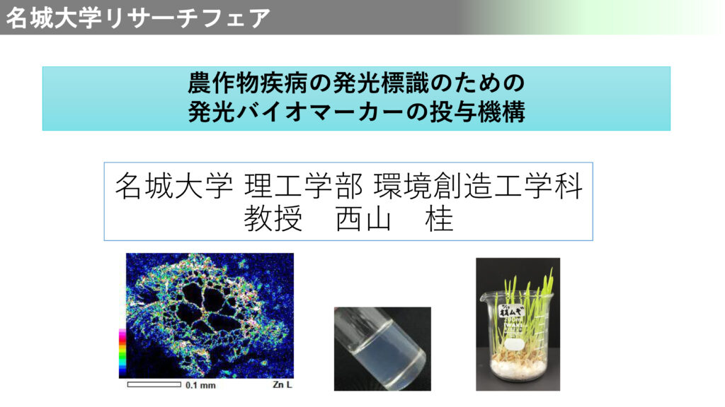 農作物疾病の発光標識のための発光バイオマーカーの投与機構