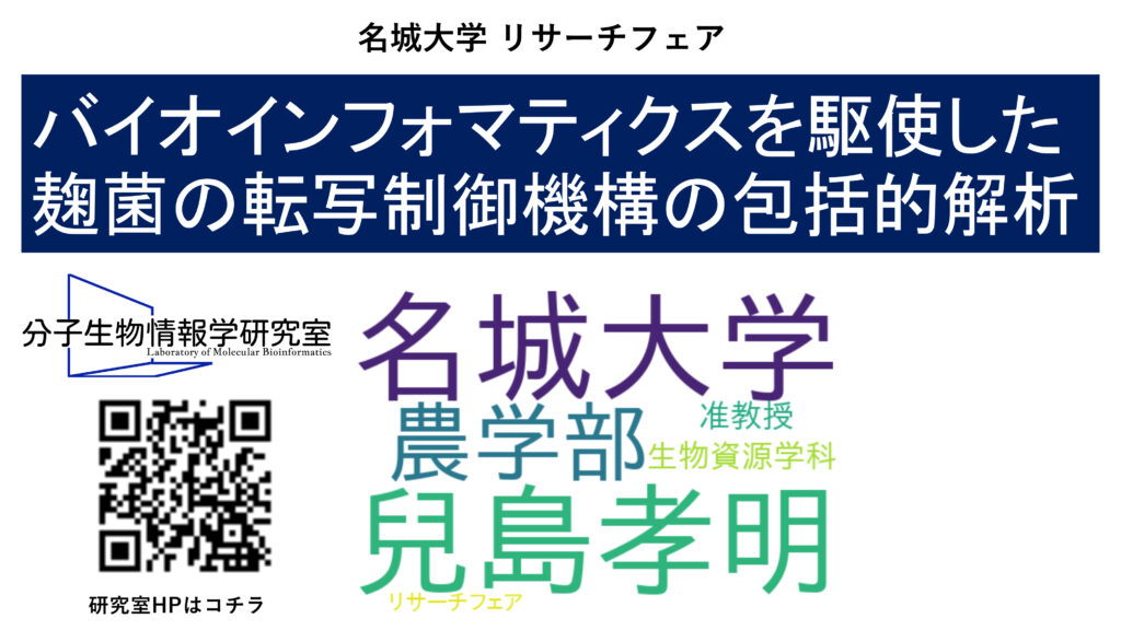 バイオインフォマティクスを駆使した 麹菌の転写制御機構の包括的解析